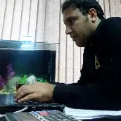 عکس بهزاد حیدری